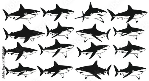 Group of Sharks Illustration, Marine Life, Ocean Predators