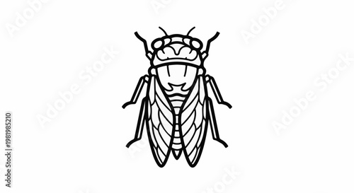 Stylized line drawing of a cicada insect, black and white