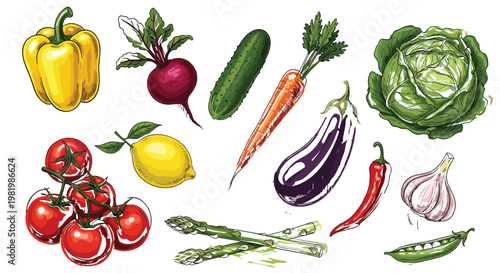 Vector Set of Colorful Fresh Vegetables Including Tomatoes, Carrots, Lettuce, Bell Pepper, and More for Healthy Diet and Farm Fresh Concepts