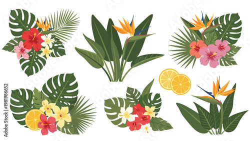Collection of tropical floral arrangements featuring hibiscus, plumeria, bird of paradise flowers, and monstera leaves.