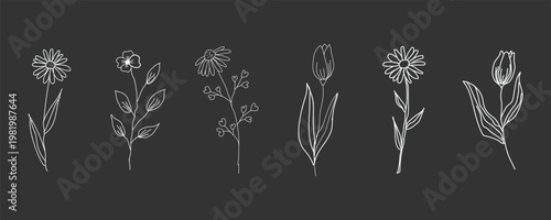 A row of white illustrations of dandelion flowers on black background