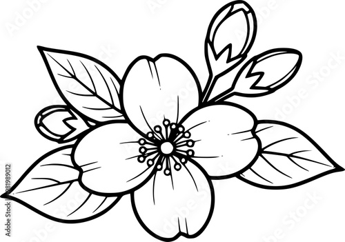 Fragrant jasmine flower and aromatic floral blossom symbol for botanical garden and organic beauty design featuring a simple black line art jasmine pictogram – Black Vector Illustration