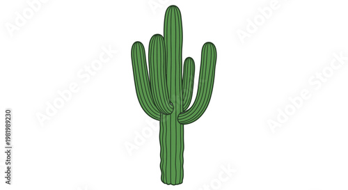 Fotografía Green cactus illustration on a white background for design and commercial use