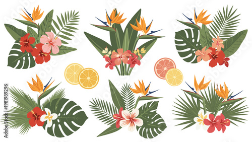 Vibrant set of tropical floral arrangements featuring hibiscus, bird of paradise, palm leaves, and fresh citrus fruit slices.