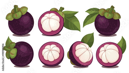 Group of fresh purple mangosteen fruits are shown in various states including whole and cut open to reveal the white fleshy segments.