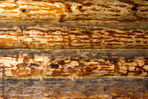 The wall is built of wooden beams. A close-up of the thick logs of a wooden house.