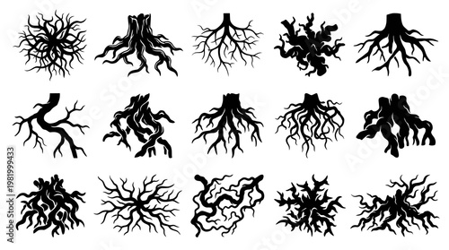 Abstract Nature Tree Roots and Branches Silhouette Vector Glyphs Set