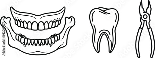 Vector of Dental and oral health icon set featuring a human jaw and a single tooth and professional dental extraction pliers