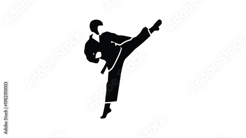 Martial arts silhouette of a person kicking.
