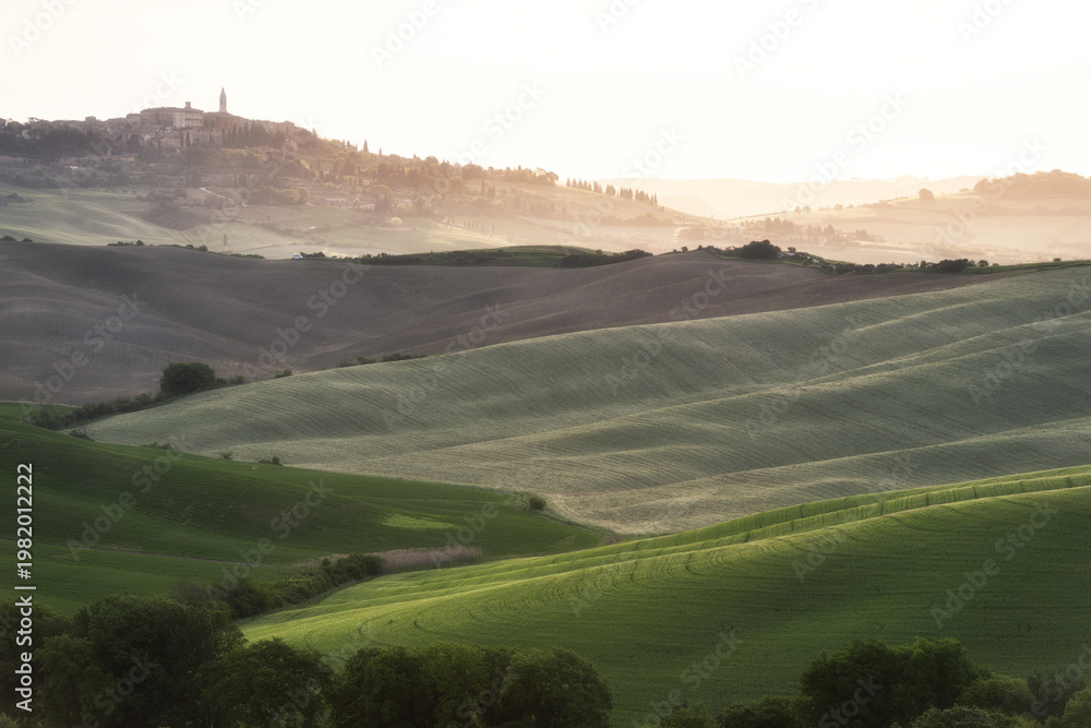 Fototapeta premium Breathtaking panoramic view of the undulating green fields and misty hills in Val d'Orcia, Tuscany, featuring a medieval hilltop village under soft golden morning light.
