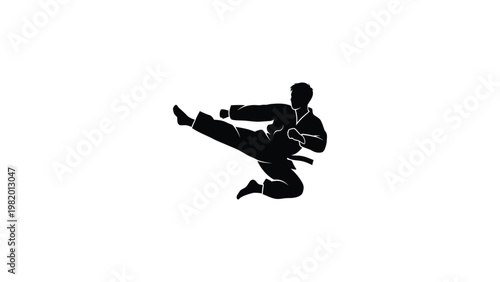 Silhouette of a person performing a martial arts kick.