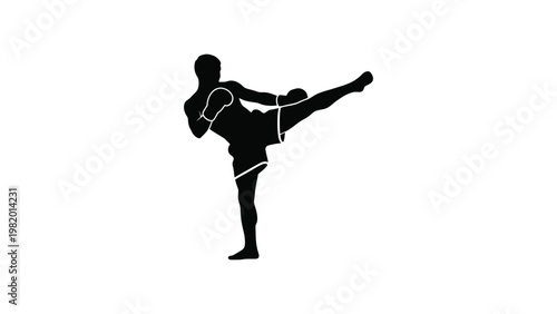 Silhouette of a person performing a kick.