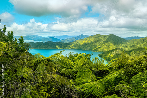View of the Marlborough sounds