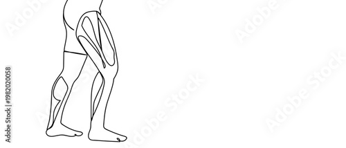 continuous line drawing of Leg muscle anatomy vector illustration Editable stroke.