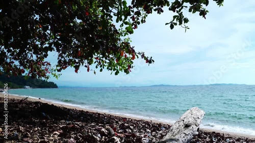 Tropical Beach View Framed by Shady Tree Leaves and Driftwood