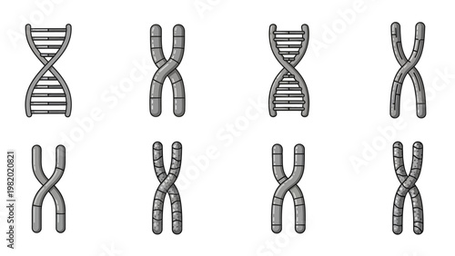 Abstract illustration of dna strands and chromosomes in a scientific concept