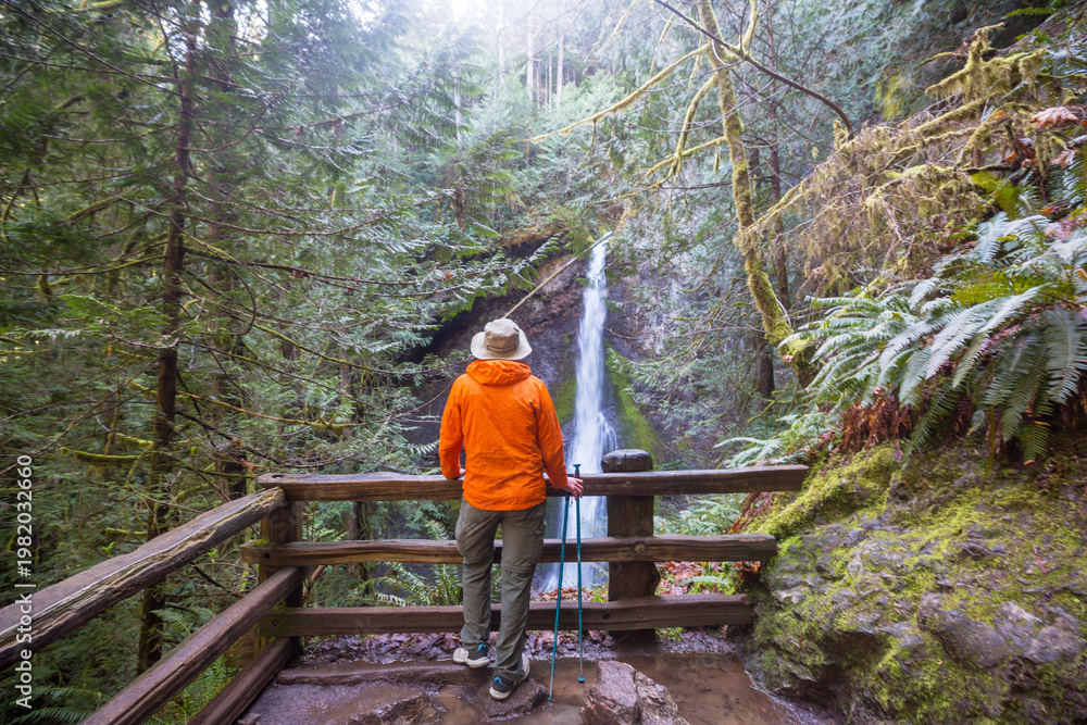Fototapeta premium Hiker near waterfall