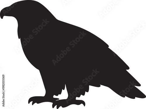 Silhouette of a majestic bird of prey standing tall on its talons