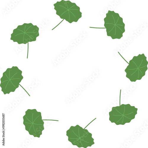 蓮の葉の円形フレーム