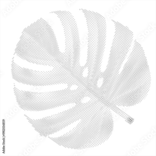 Minimalist halftone dot pattern of a tropical monstera deliciosa leaf isolated on white background for modern nature and botanical design
