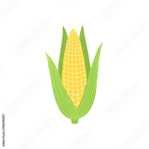 A single ripe ear of yellow corn is partially enclosed by vibrant green husks and leaves