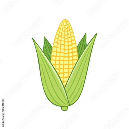 Bright yellow ear of corn with green husks and leaves isolated on white