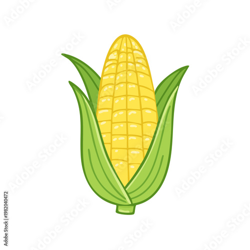 Cartoon illustration of a ripe ear of corn with green husks