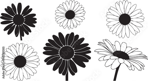 Black and white daisies in various styles and orientations flowers line floral