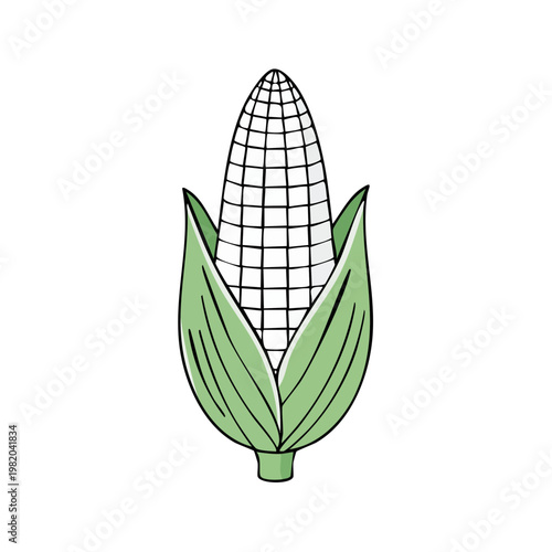 Stylized hand drawn illustration of a fresh corn cob with green husks and kernels