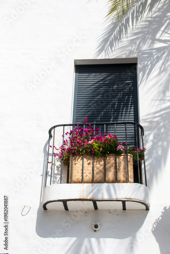 Flowers on a balcony 