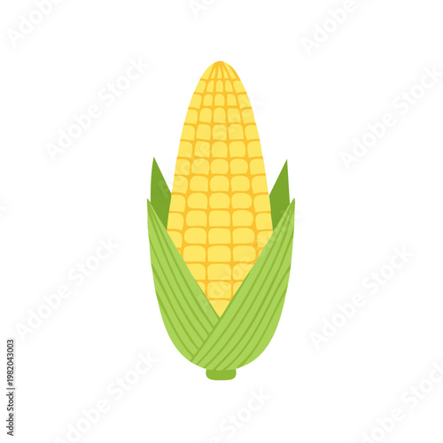Vibrant illustration of a fresh ear of corn with green husks and bright yellow kernels