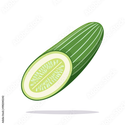 Fresh green cucumber sliced in half showing seeds and flesh isolated on white