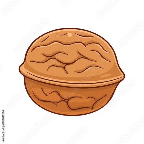 Cartoon illustration of a single whole walnut nut with its textured shell