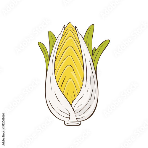 Fresh Yellow Corn Cob with Green Husk Illustration Food Ingredient Farm Produce