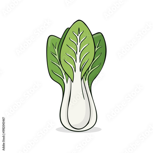 Fresh Bok Choy Vegetable Illustration Isolated on White Background Healthy Food Element