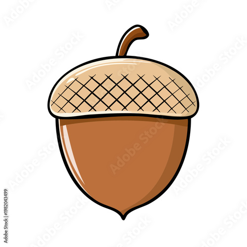Cute cartoon acorn with a textured cap isolated on white illustration
