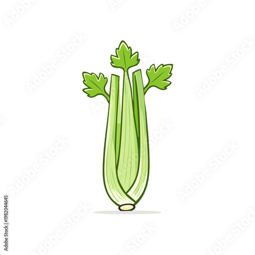 Fresh green celery stalk with leafy top in simple cartoon illustration