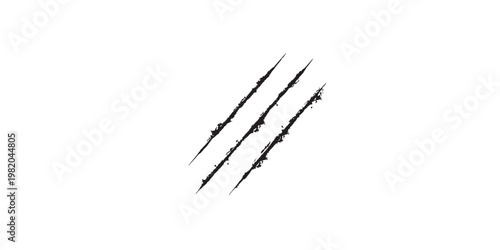 Cuadro en lienzo Three Black Claw Marks on a White Background.