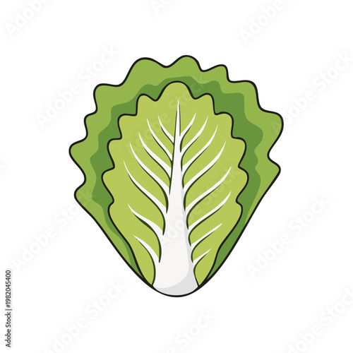 Vibrant Green Leafy Vegetable Illustration Healthy Food Ingredient Simple Graphic