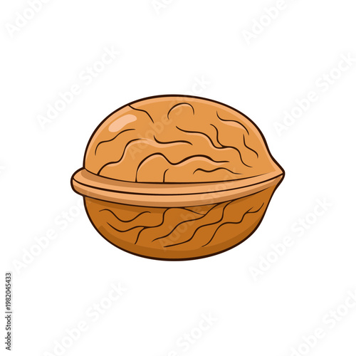 Simple Cartoon Illustration of a Single Whole Walnut Shell Isolated on White