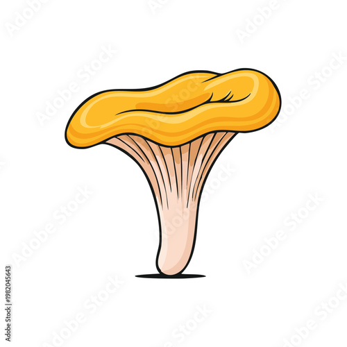 Illustration of a single golden chanterelle mushroom with a wavy cap and gills