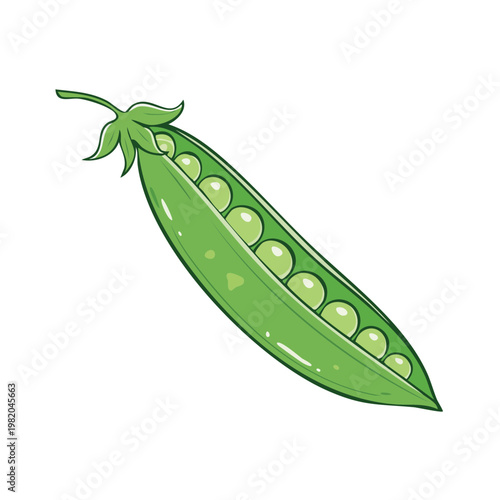 Open green pea pod with round peas inside in a simple illustration