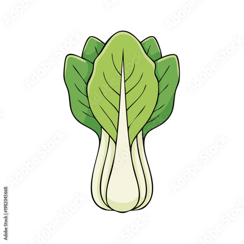 Fresh Bok Choy Vegetable Isolated Illustration Healthy Leafy Greens
