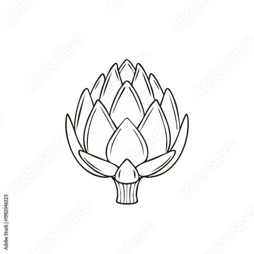Stylized outline of a fresh artichoke vegetable with layered leaves and stem on a white background