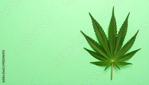 Single dark green cannabis leaf displayed on solid light green background, copy space on left