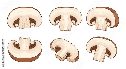 Set of sliced brown champignons or portobello mushrooms viewed from various angles isolated on a clean white background.