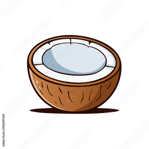 Hand drawn illustration of a halved fresh coconut with white flesh