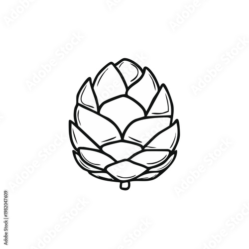 Simple Line Drawing of a Hops Cone for Brewing and Organic Ingredients