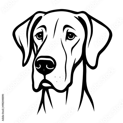 Great Dane Face Vector Illustration - Noble Large Breed Character for High-End Pet Branding, Veterinary Services, and Elegant Animal Logos. Modern Black and White Line Art.