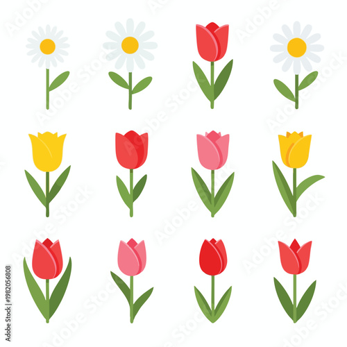 Colorful Spring Flower Collection Featuring Tulips and Daisies